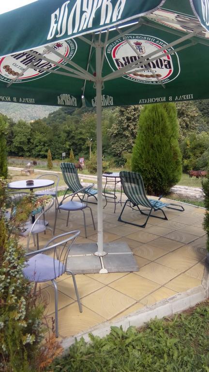 Guest House Alfa Daniel Balkanets  Exterior foto