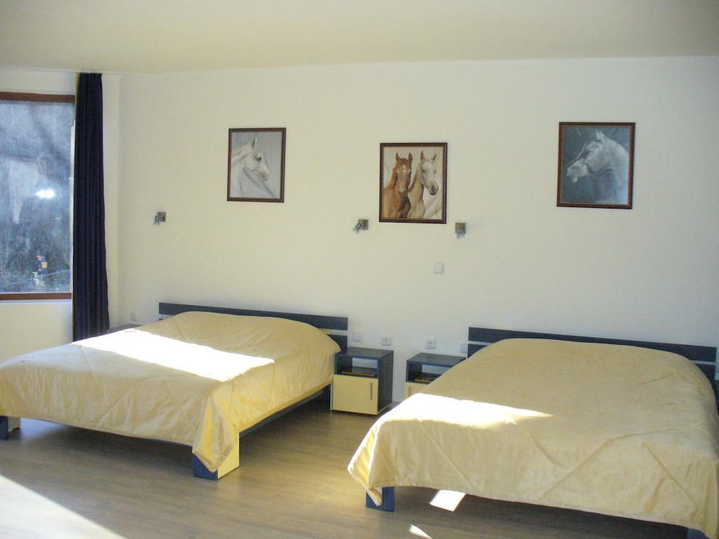 Guest House Alfa Daniel Balkanets  Zimmer foto