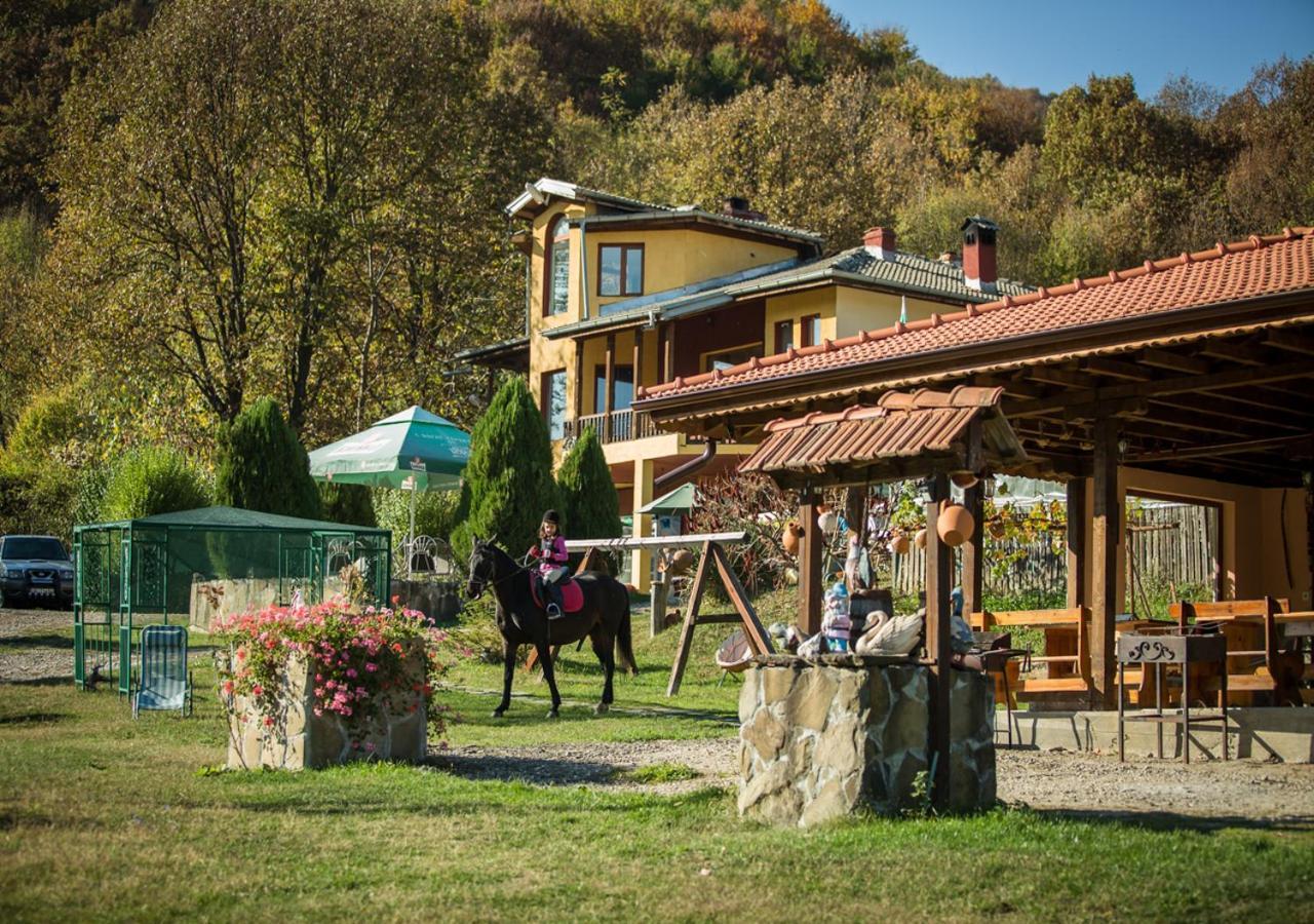 Guest House Alfa Daniel Balkanets  Exterior foto